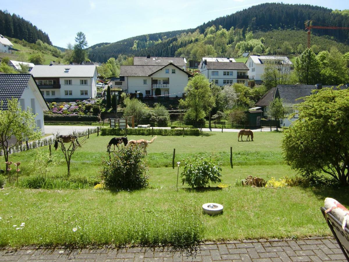Ferienwohnung Lenne Schmallenberg Luaran gambar